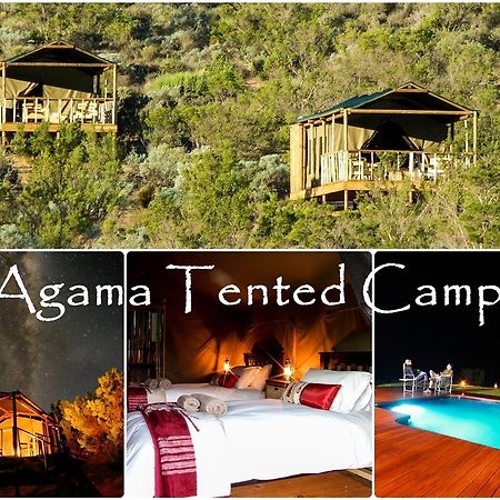 Agama Tented Camp Garies 외부 사진