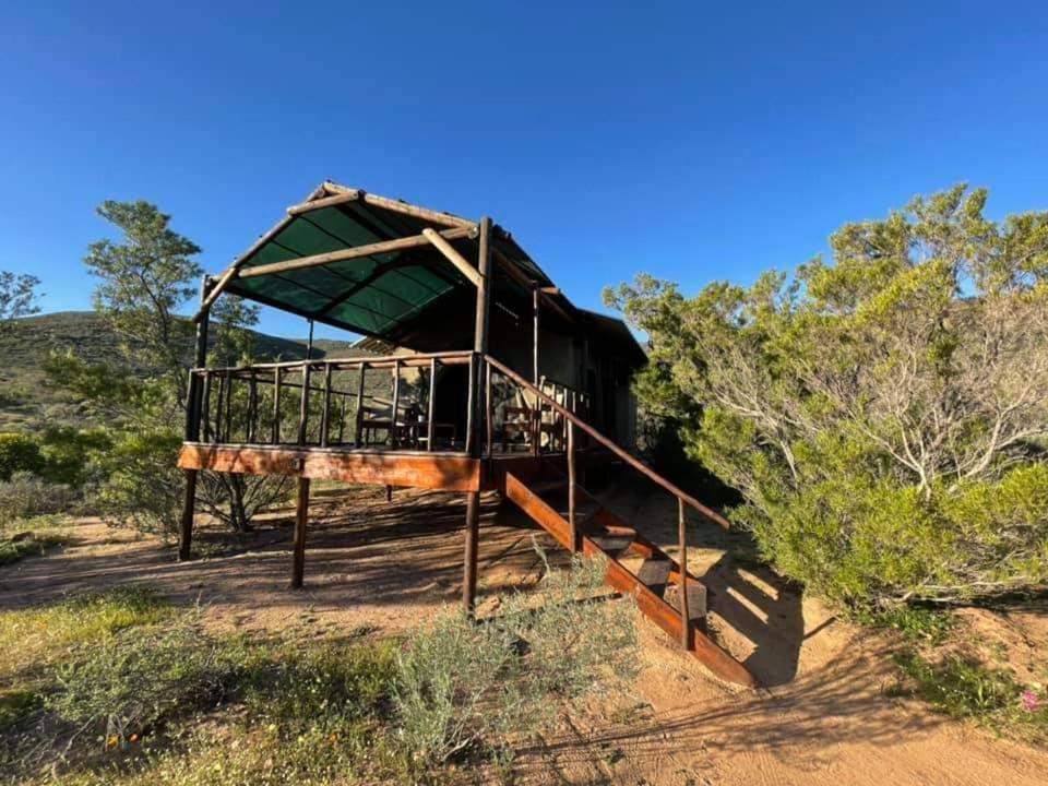 Agama Tented Camp Garies 외부 사진