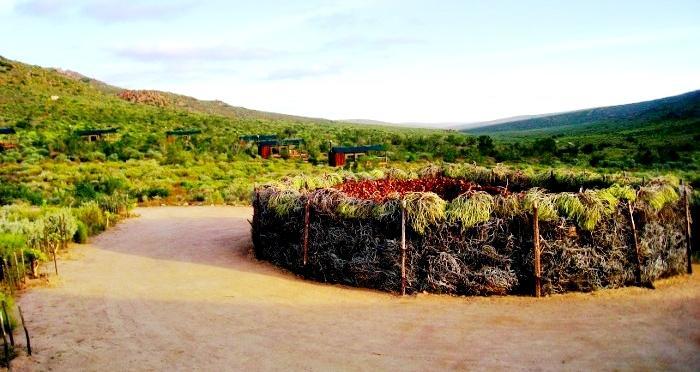 Agama Tented Camp Garies 외부 사진