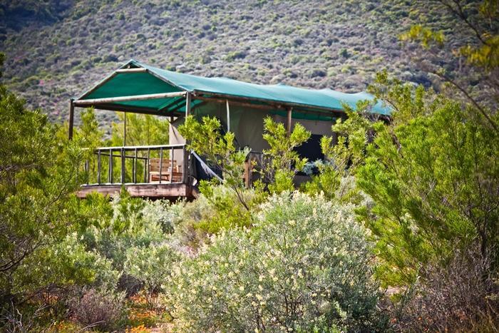 Agama Tented Camp Garies 외부 사진