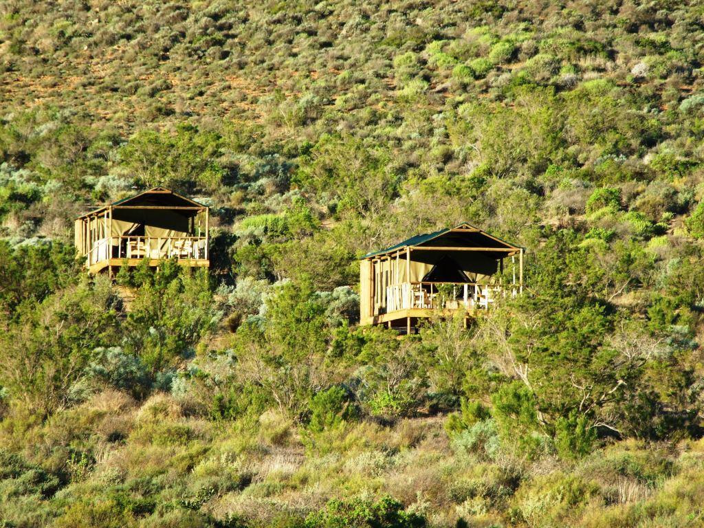 Agama Tented Camp Garies 외부 사진