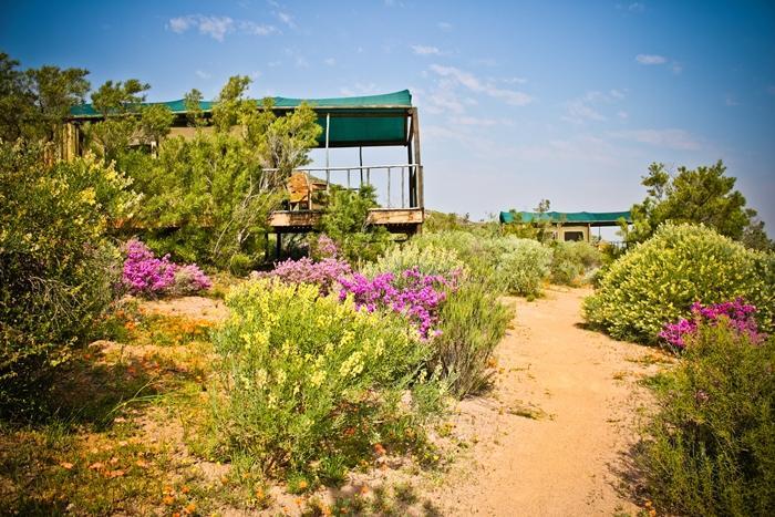 Agama Tented Camp Garies 외부 사진